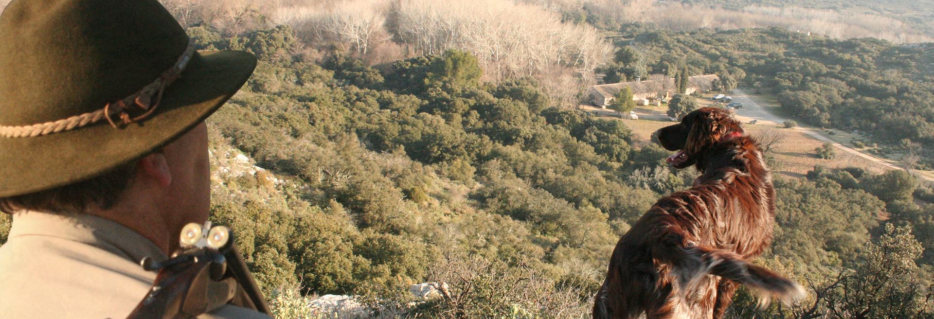 Un chasseur et son chien devant la garrigue des Alpilles
