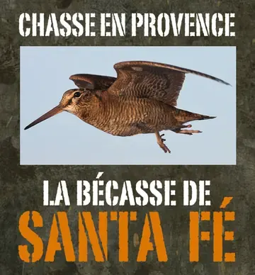La Bécasse de Santa Fé — chasse en Provence