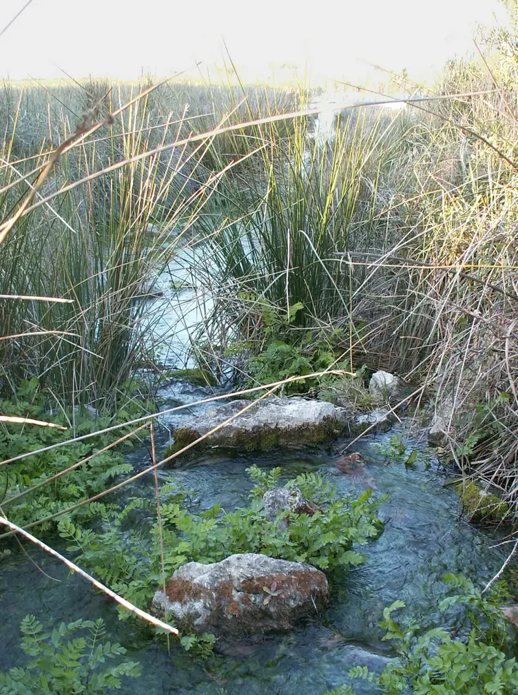 Le marais, à l’extrémité nord du domaine