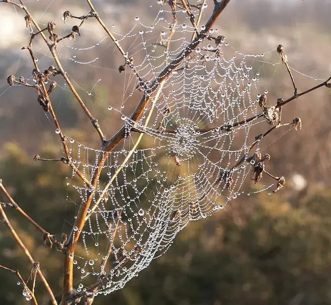 Le domaine sous la lumière d’hiver